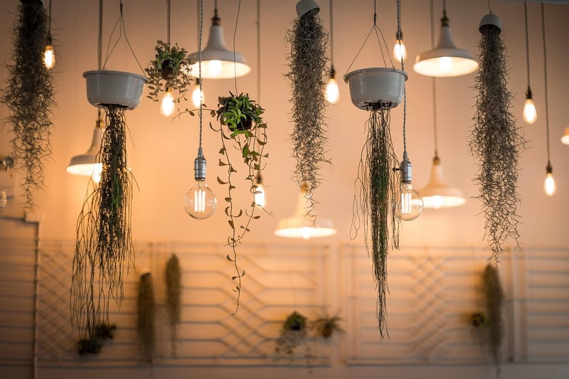 Suspended Plants